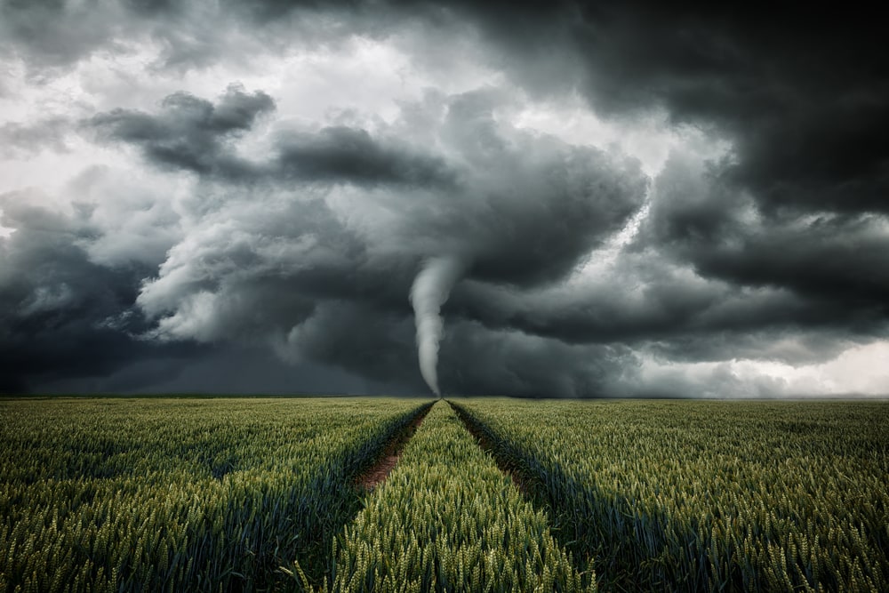 a tornado raging over on a corn field