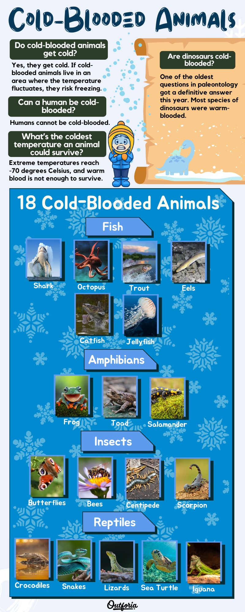 Chart of the cold blooded animals complete with facts, photos, and more
