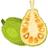 image of a jackfruit icon