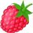 image of raspberry icon