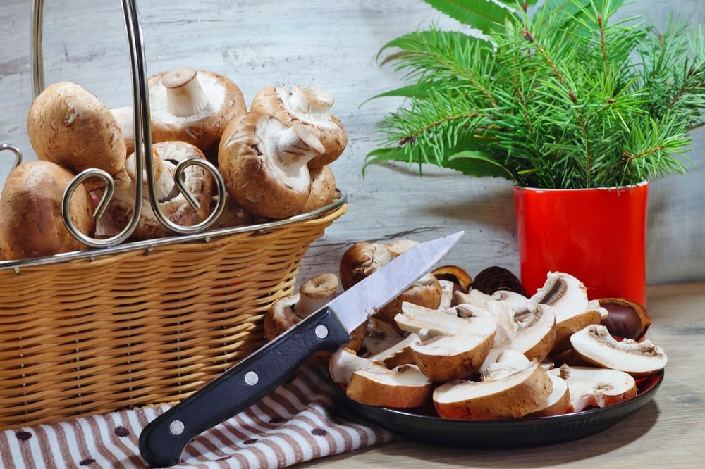 image of a Agaricus bisporus, also known as button mushroom or champignon, in a basket and plate 