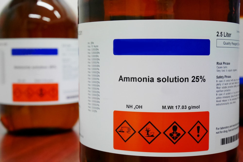 image of a bottle of ammonia