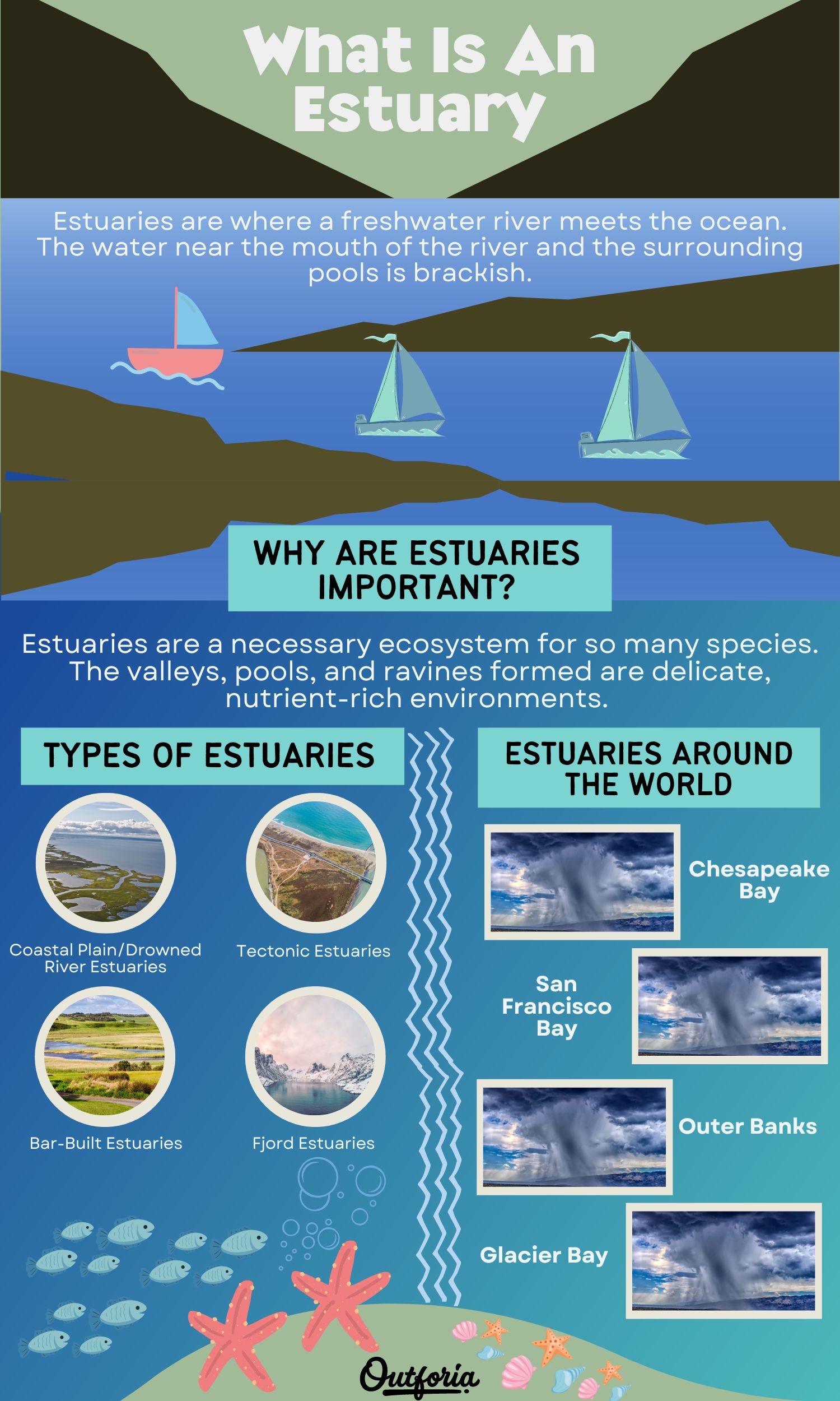 What Is an Estuary? Estuaries Around the World & More! - Outforia