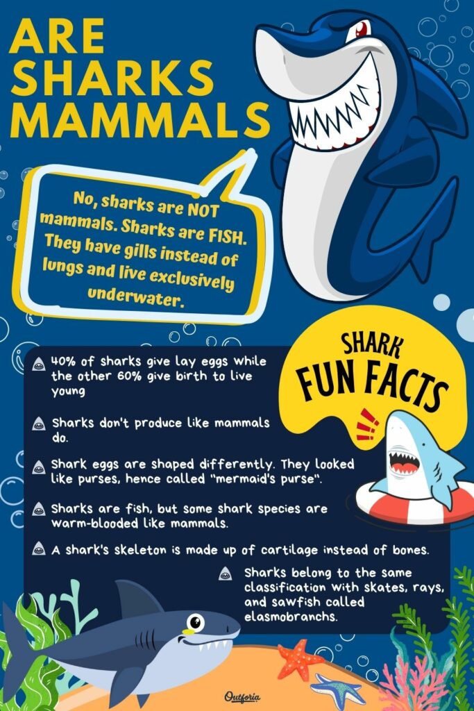 are sharks mammals chart with facts