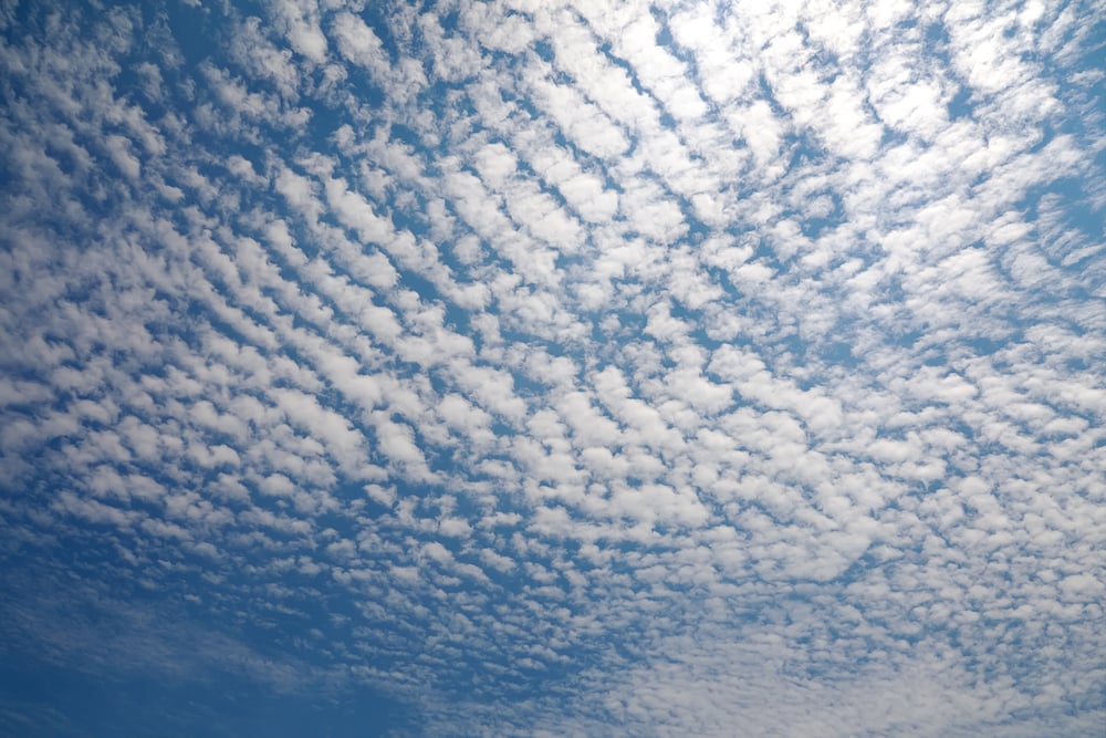 Cirrocumulus scattered in the blue sky