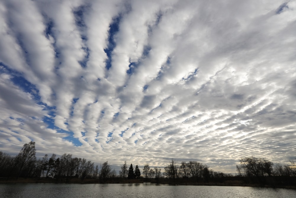 Cirrocumulus clouds on top of a river