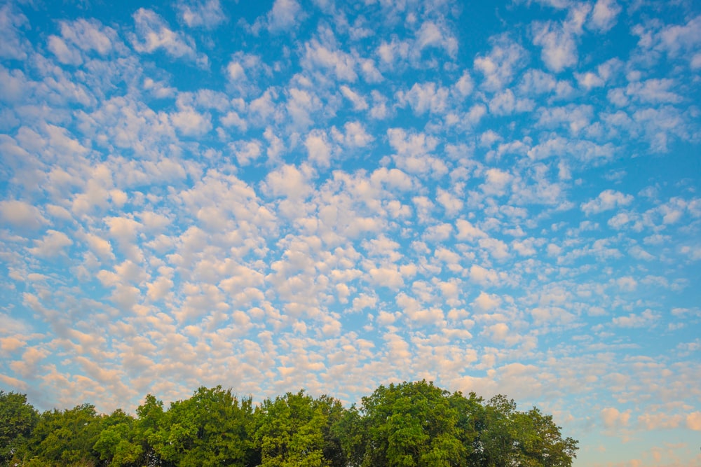 Cirrocumulus clouds with shade of an orange