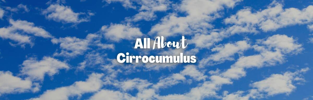 Cirrocumulus featured image