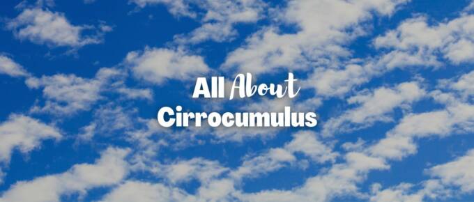 Cirrocumulus featured image