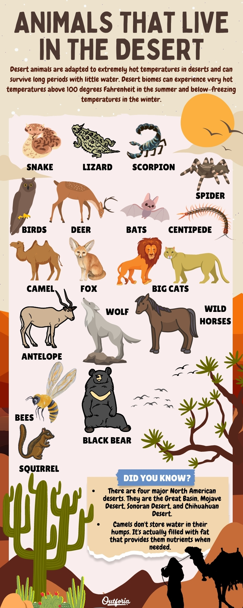 animals that live in the desert chart with names and facts 