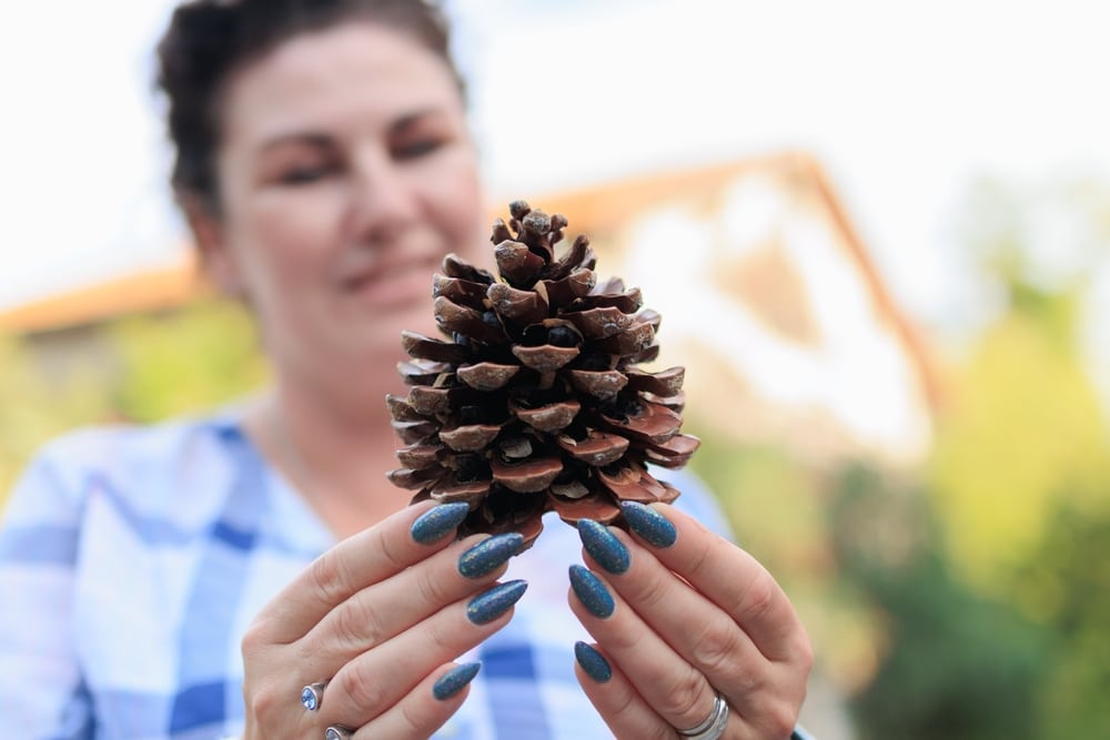 a woman holding a large cedar pine cone