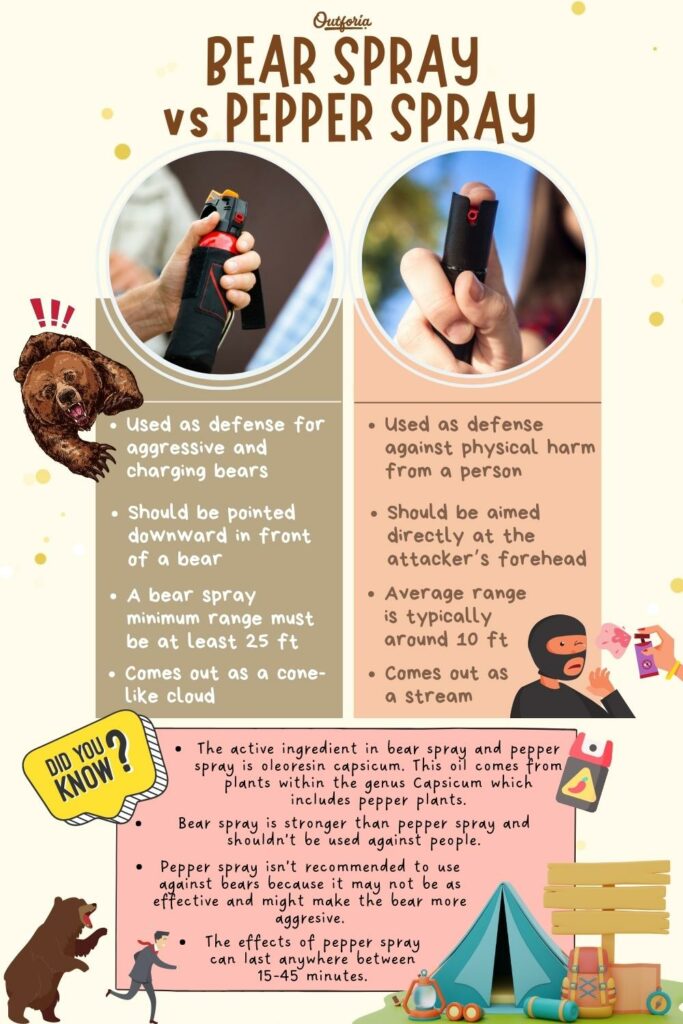 chart of bear spray vs pepper spray with differences and facts 