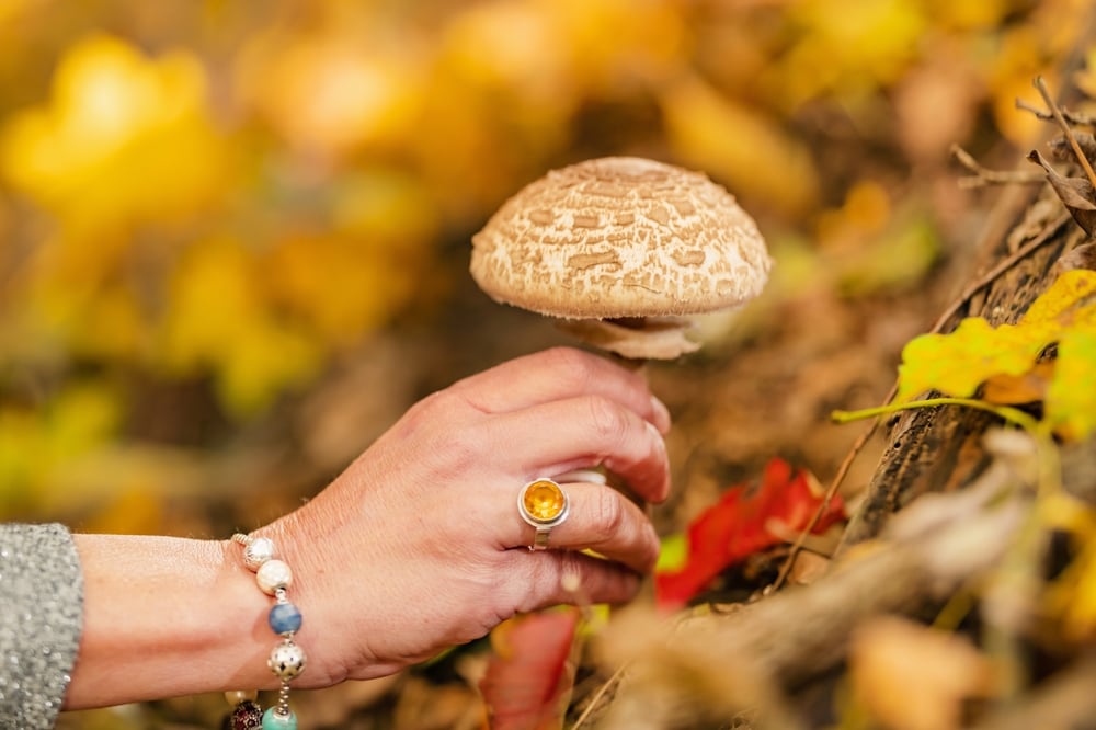 Woman picking up a mushroom from a tree