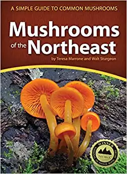 Mushrooms of the Northeast: Mushroom Guide