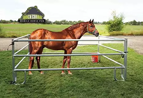 JW6 Fence Quick Corral