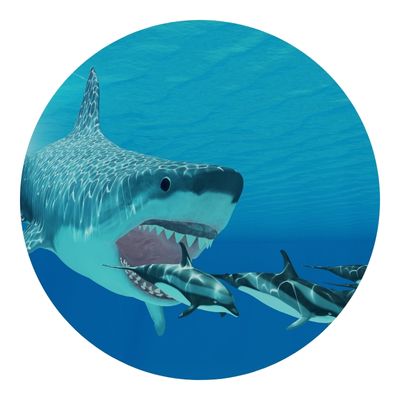 Megalodon eating other sharks