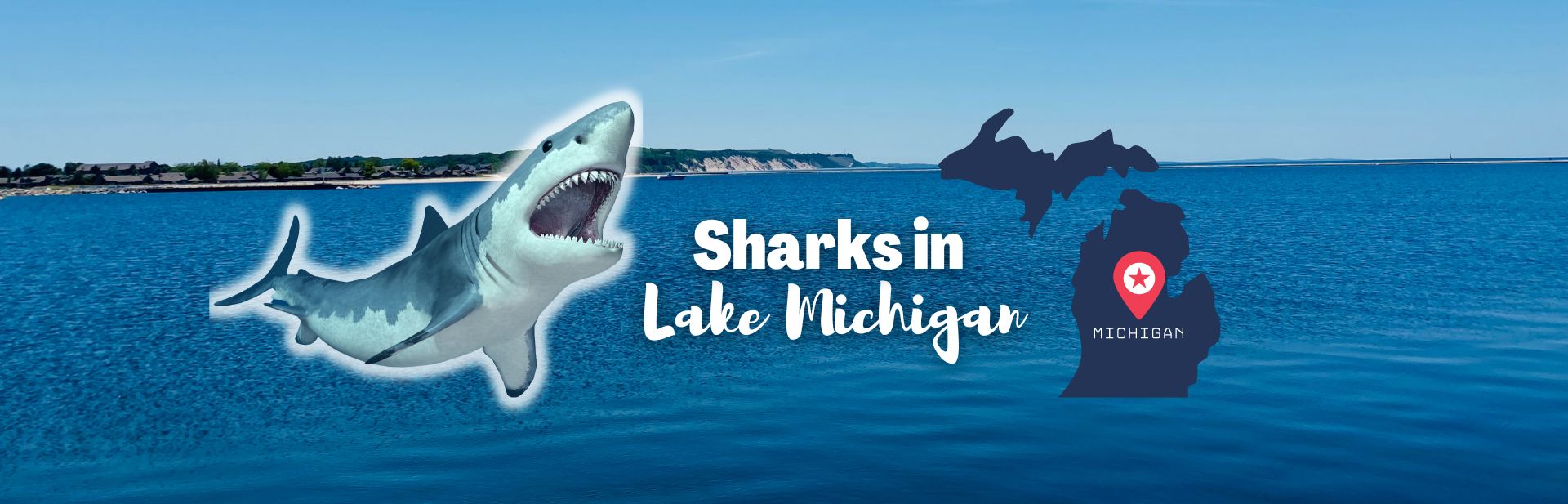 Sharks In Lake Michigan: True Story or Urban Myth?