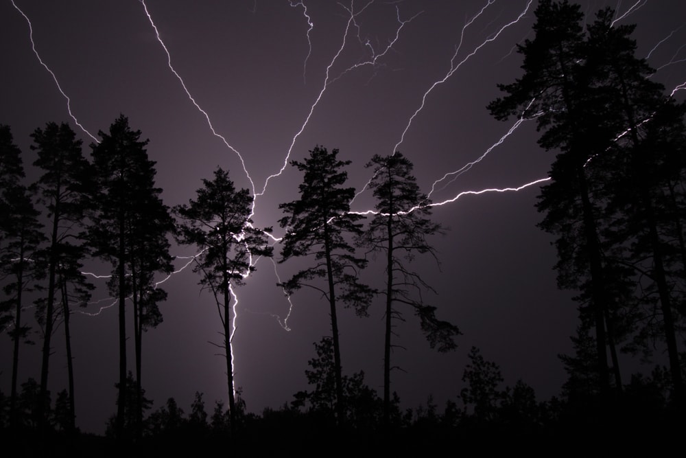 lightning bolt behind the trees