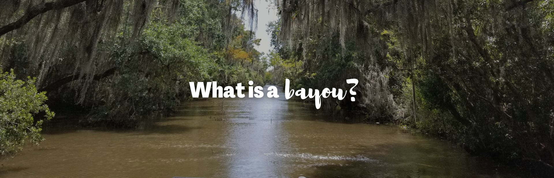 What is a Bayou? An Intro to America’s Bayous