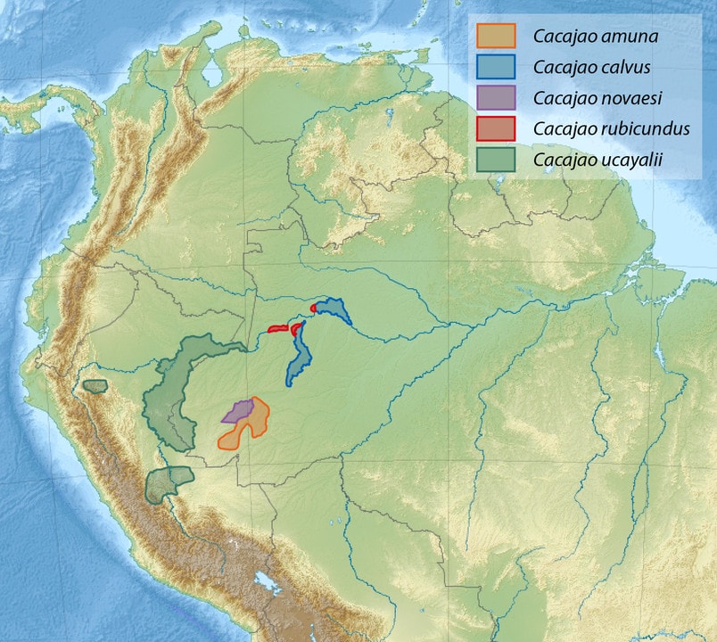 Map distribution of Bald Uakari
