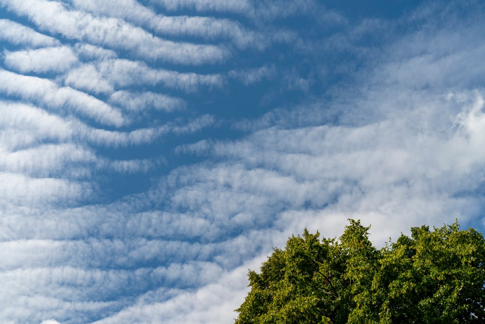 Cirrostratus clouds on blue sky
