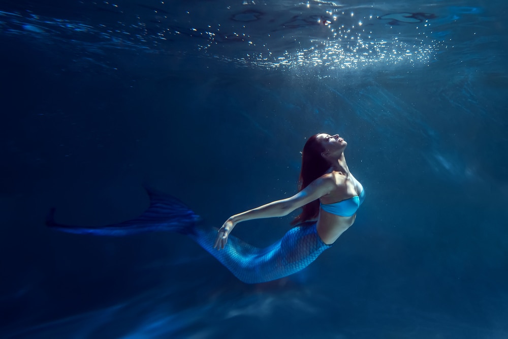 Mermaid going up to the surface of water