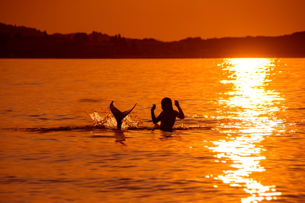 Mermaid caught swimming during sunset