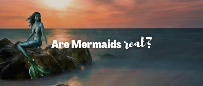 Are mermaids real featured image