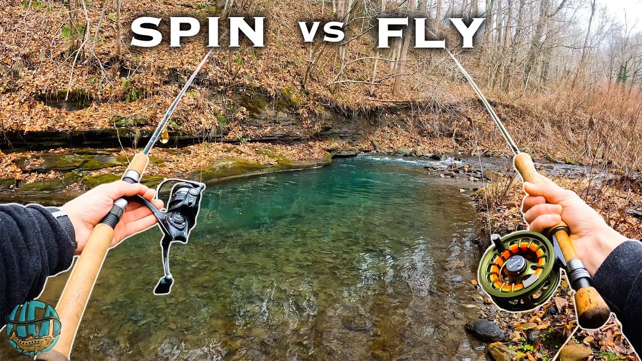 Casting Decisions: Saltwater vs. Freshwater Fly Fishing