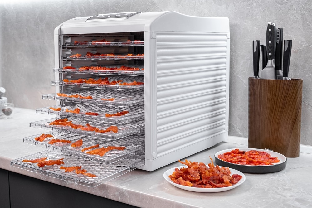 a modern electric dehydrator in the kitchen 