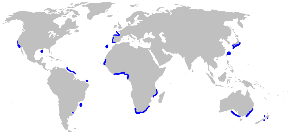 range distribution map of a goblin shark