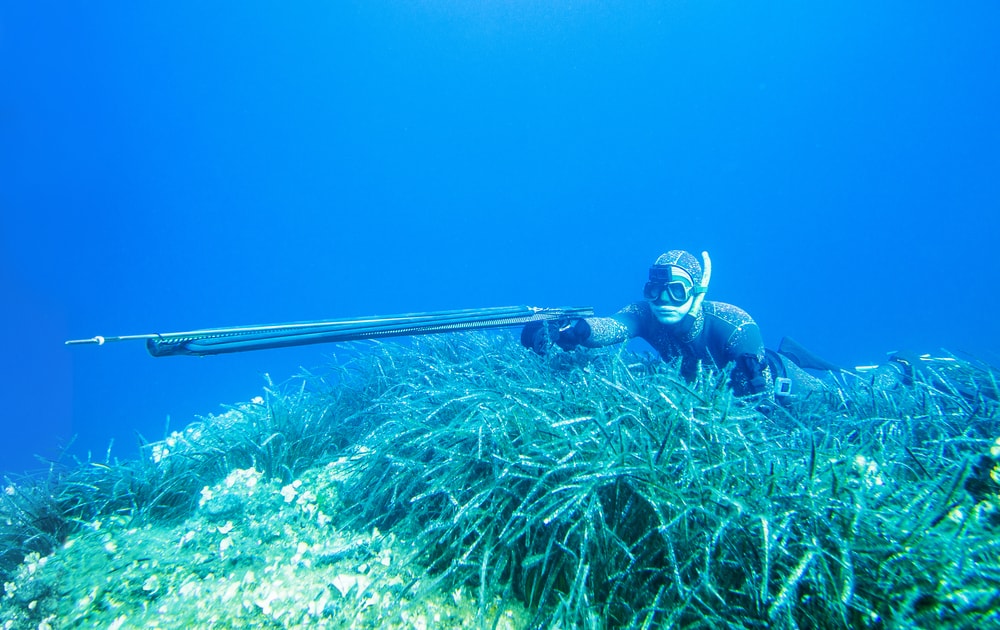 Man diving into waters doing spearfishing