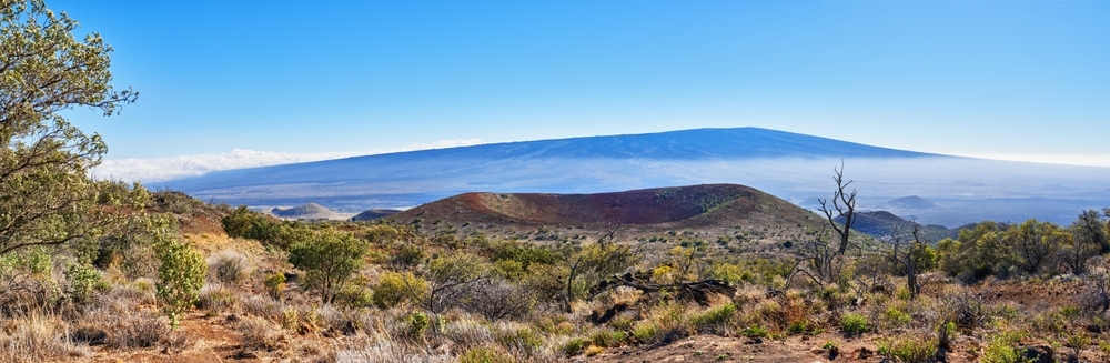 panoramic view of the Mauna Loa