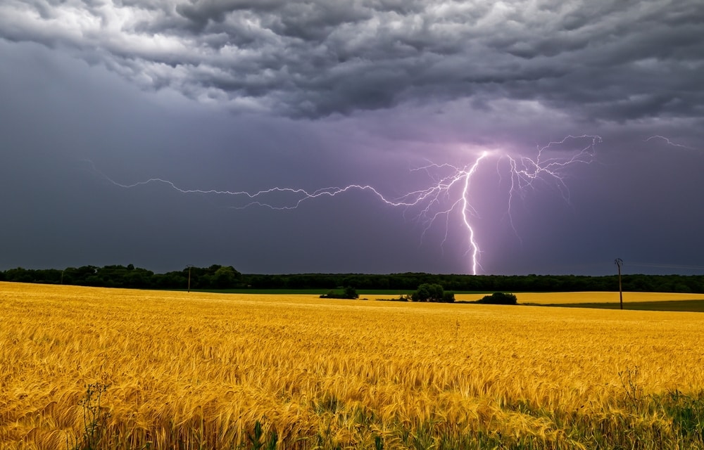 lightning striking over a field 