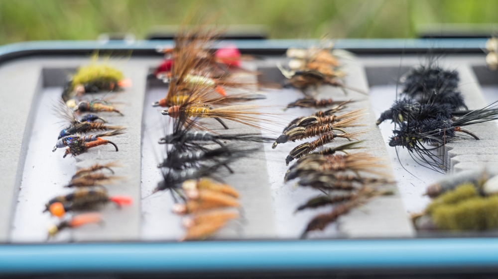 Box of flies used for fly fishing