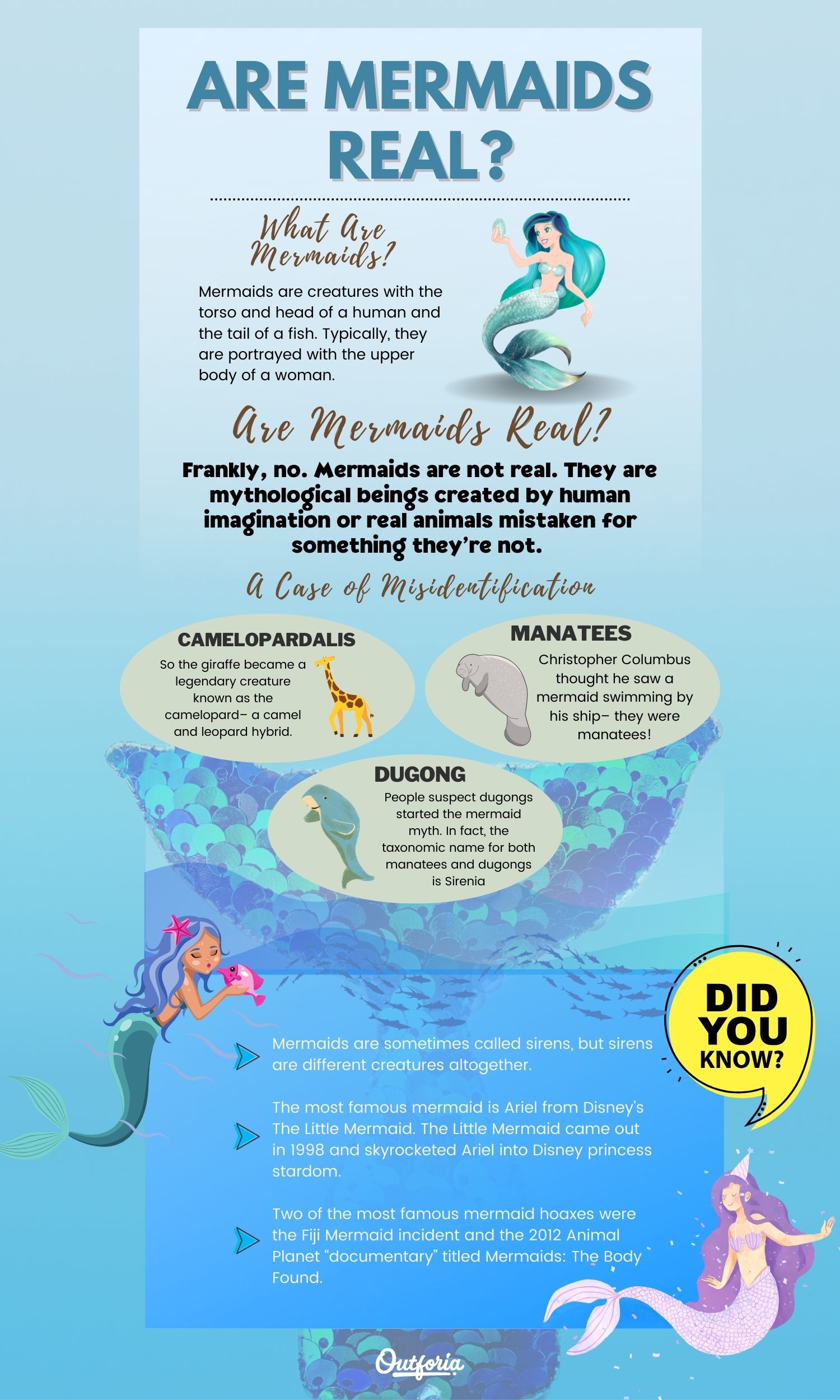 Chart of are mermaids real complete with facts, pictures, and FAQs