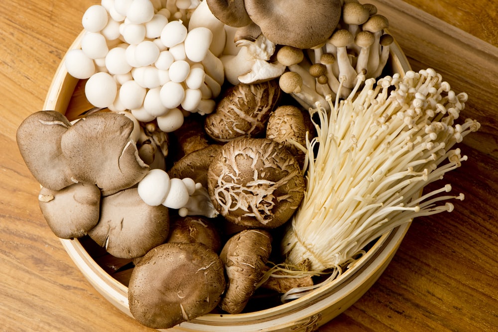Mushrooms on a tray