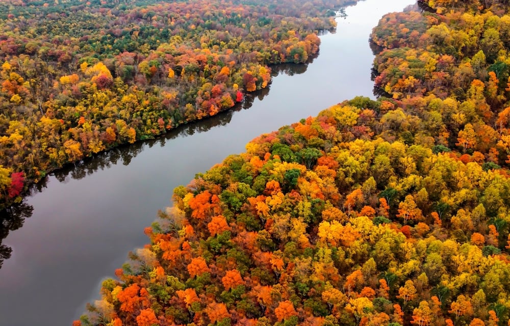 Trees with different leave colors with lake in the middle