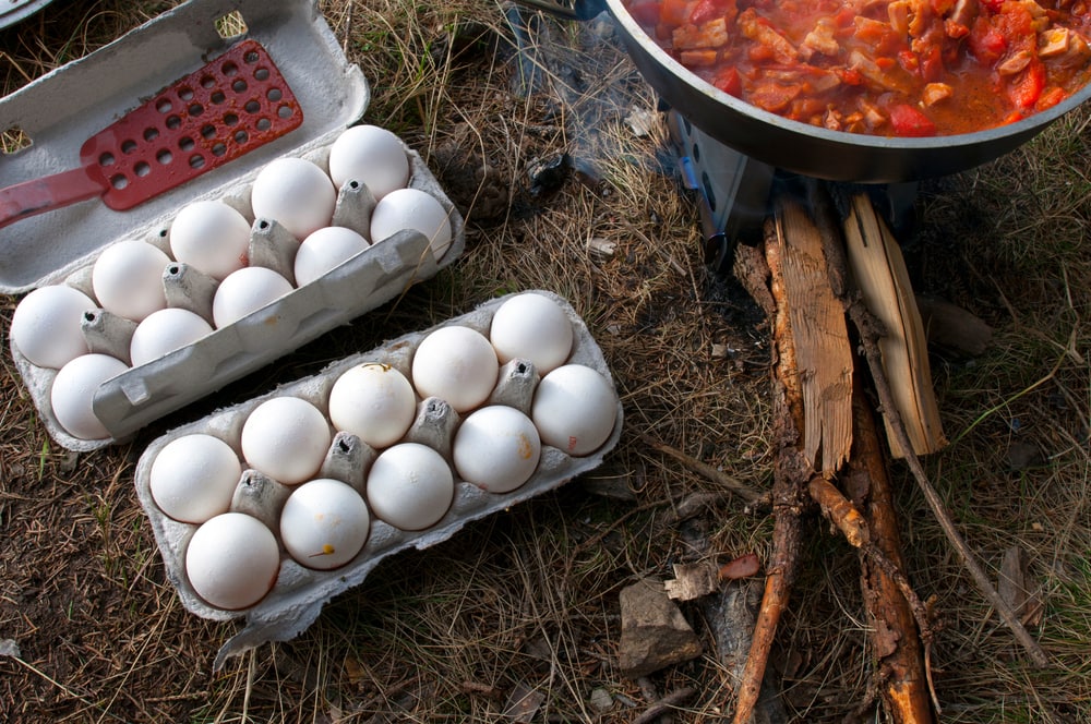 More than dozen of eggs on the ground