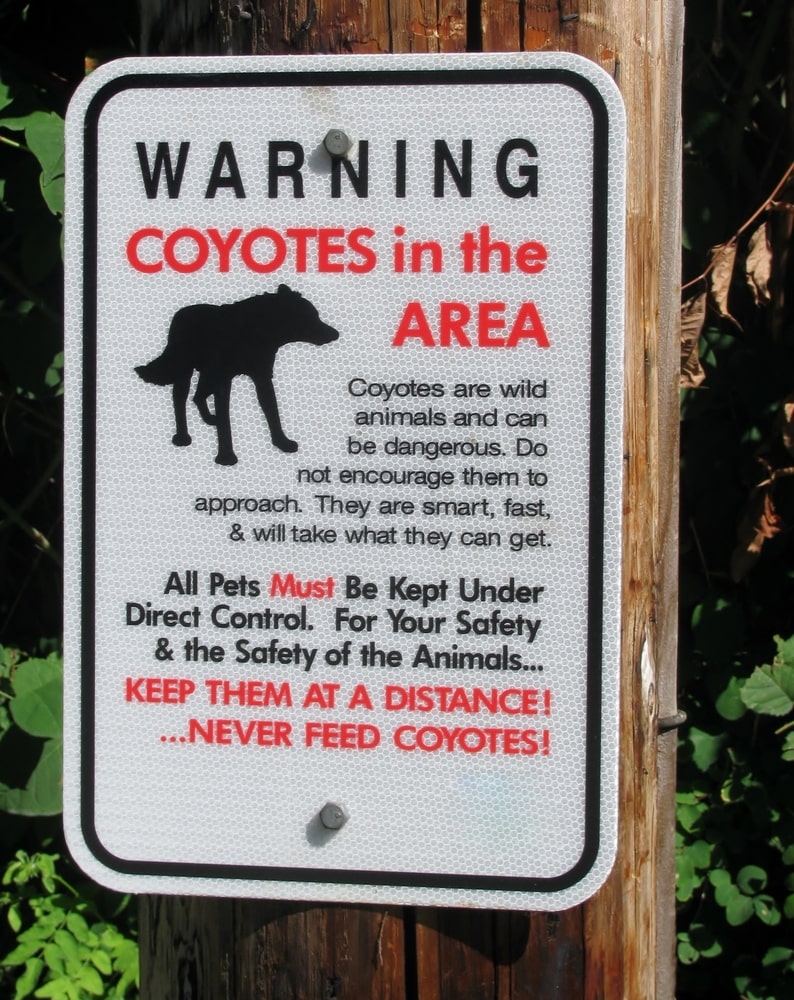 a coyote warning sign