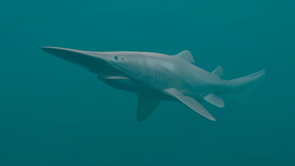 3d rendered image of a goblin shark