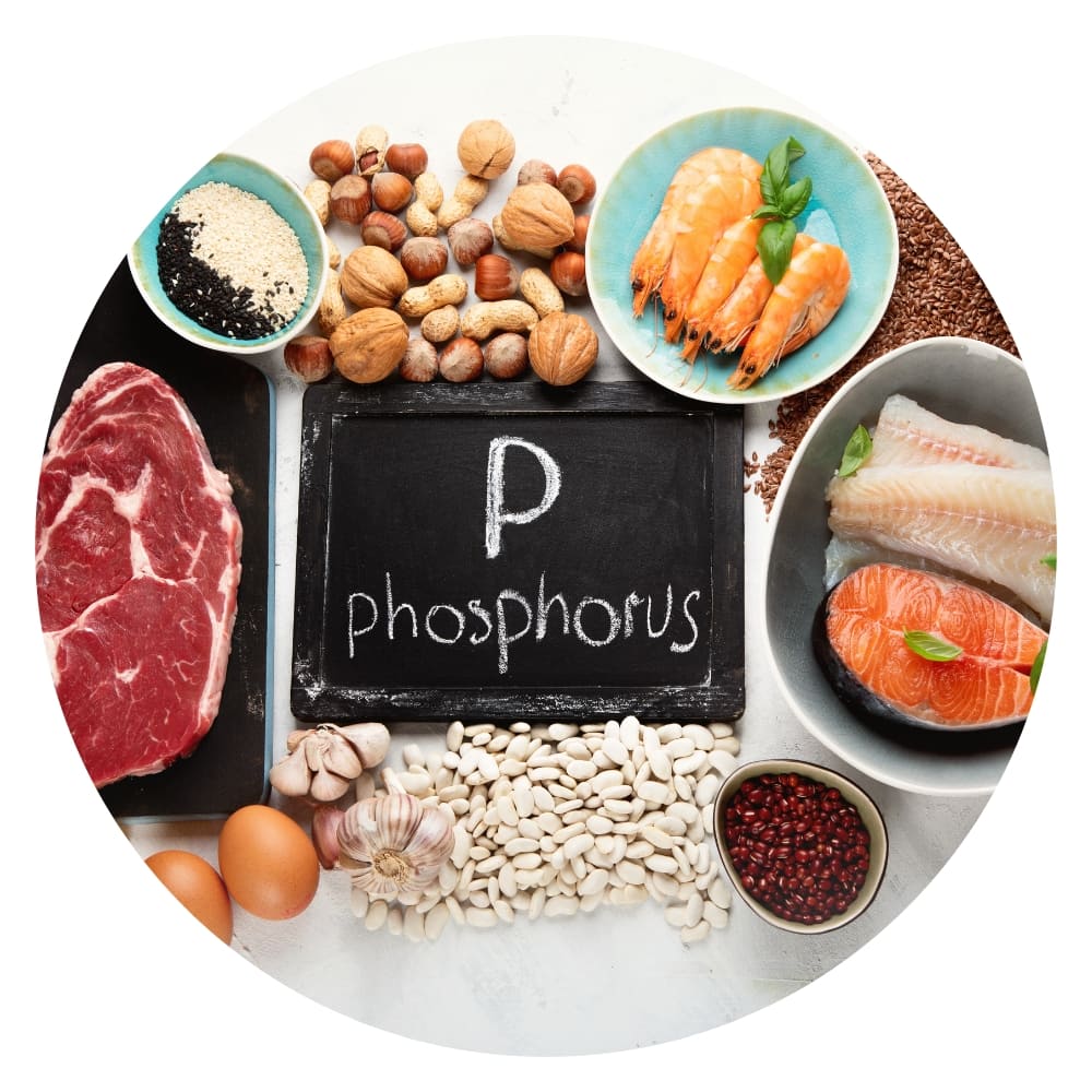 image of foods rich in phosporus