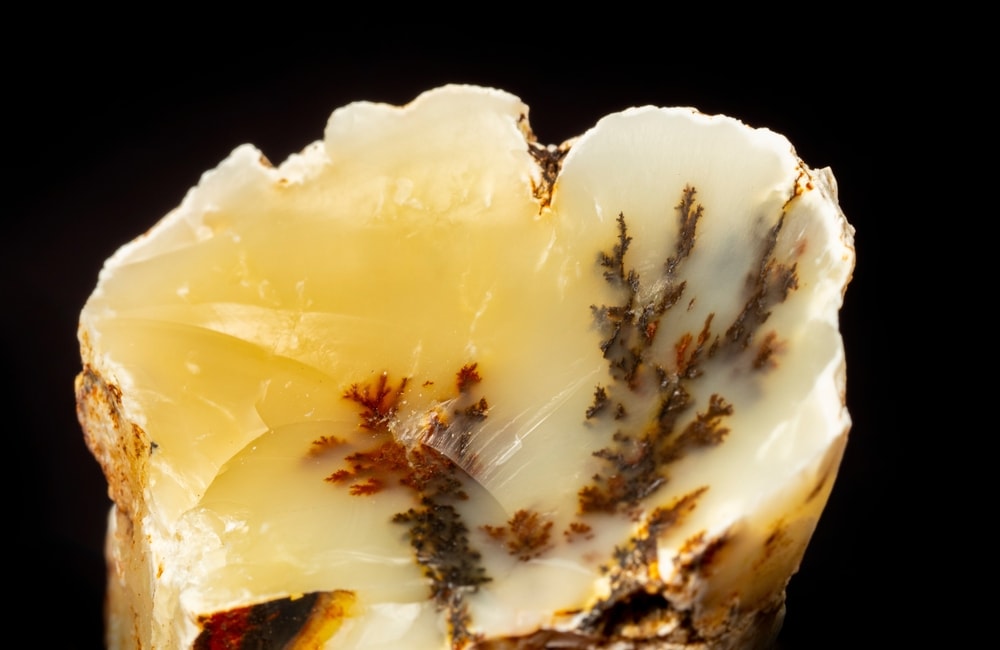 Dendritic Opal on black background