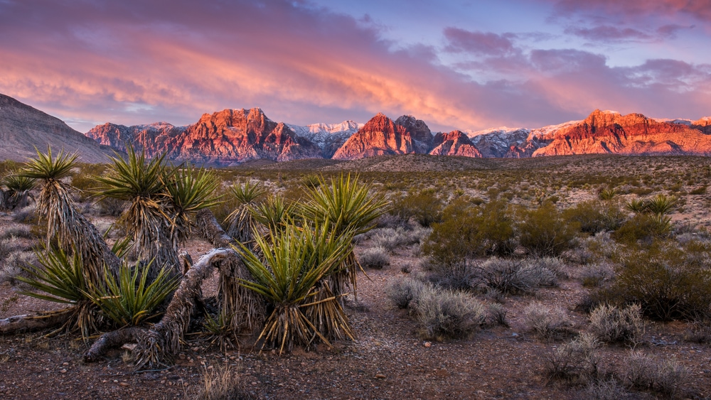 Landscape view of the Sunrise Red Rock Canyon