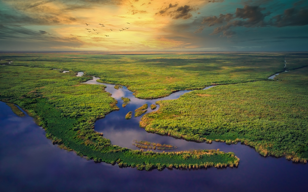 aerial view of the marsh in Everglades National Park