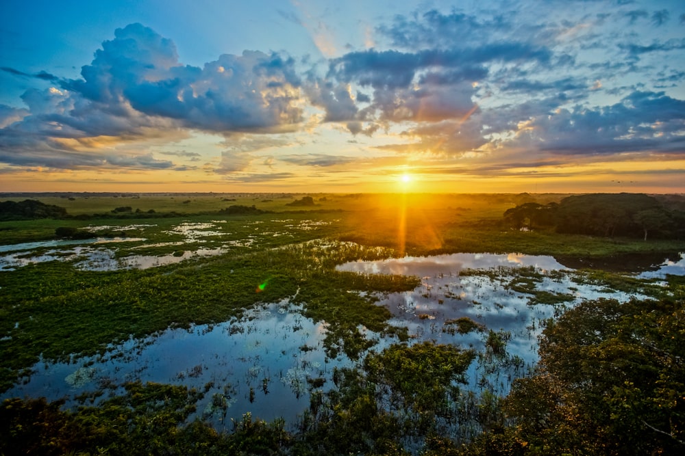 sunrise in the largest wetland, Pantanal, Brazil