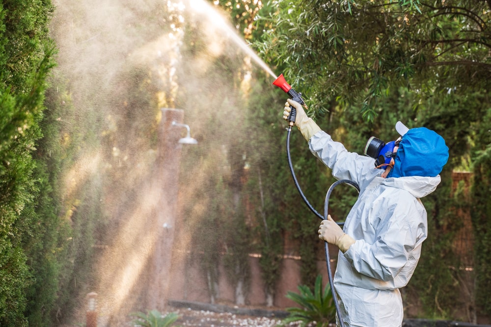 a gardener wearing protective suit spraying chemicals