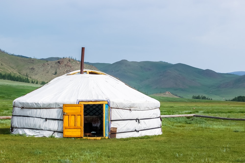 a traditional Mongolian yurt in a meadow