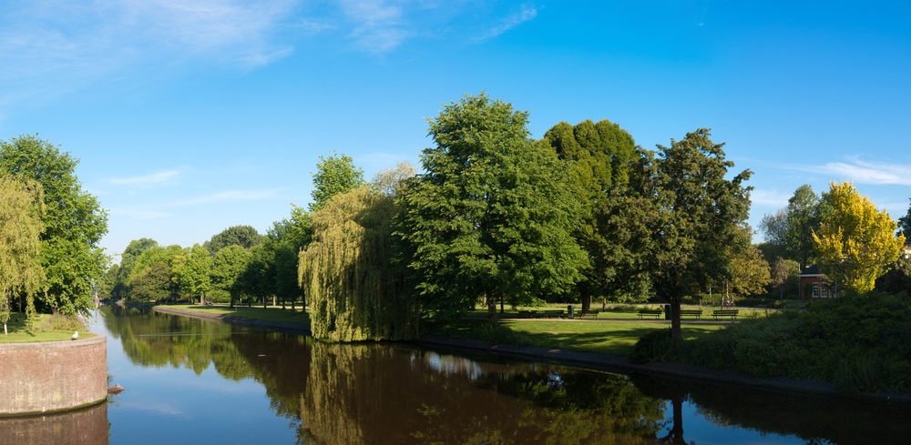 Lake in the Westerpark, Amsterdam