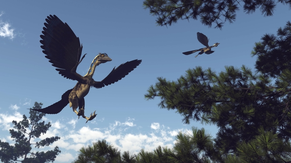 Drawing of the flying dinosaurs in the forest